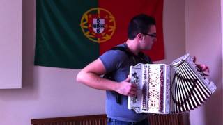 Michel Teló  Ai Se Eu Te Pego  Na Concertina [upl. by Hooker175]