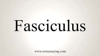 How To Pronounce Fasciculus [upl. by Fredra]