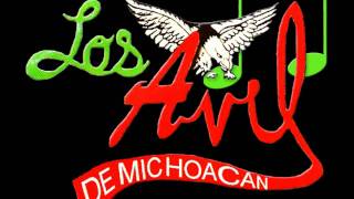 Aun Se Acuerda de Mi  Los Avil de Michoacan [upl. by Sirap754]