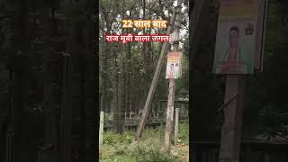 Raaz movie ka jungal raaz song ooty lovepineforest [upl. by Nwahsyar]