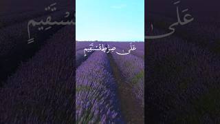 Top verses Surah yaseen shorts nature [upl. by Elleval]