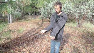 Water Dowsing With My Crazy Husband [upl. by Howlan]