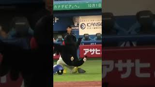 高津監督、つば九郎が空中くるりんぱを成功しかけて驚くw つば九郎 東京ヤクルトスワローズ shorts [upl. by Anaderol687]