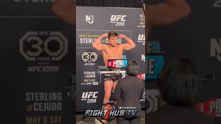 HENRY CEJUDO amp ALJAMAIN STERLING CHAMPIONSHIP WEIGH IN FOR UFC 288 [upl. by Capone]