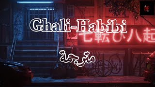 GhaliHabibi مترجمة أغنية حب ايطالية [upl. by Zetnwahs542]