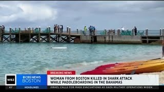 Woman from Boston killed in shark attack in the Bahamas [upl. by Aylmer]