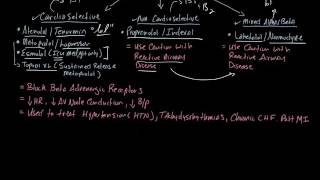 Major classes of cardiovascular medications [upl. by Ariaek610]