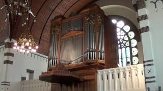 Max Reger Choralvorspiel  Jesus meine Zuversicht on organ by Simon Stelling [upl. by Allac42]