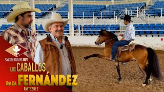 VICENTE FERNÁNDEZ HIZO CON SUS MANOS esta raza de caballos finos [upl. by Suolekcin751]