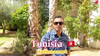 Tunisia  Hammamet  Doner City  Medina  YoYo  Tunisian cuisine  Le Coral Yasmine   Shawarma [upl. by Garrot]