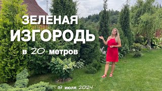 НЕОРДИНАРНАЯ ЗЕЛЕНАЯ ИЗГОРОДЬ В 20 МЕТРОВ КАК ЭТО ВЫГЛЯДИТ И КАКИЕ РАСТЕНИЯ [upl. by Yttocs]