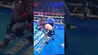 UpCloseSloMo Keyshawn Davis final combo sends both Lemos amp ref flying boxing boxeo [upl. by Mitzl599]