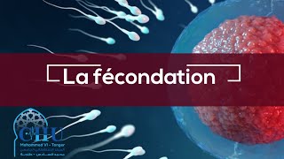 La fécondation [upl. by Dleifxam]