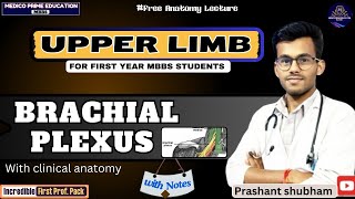 Brachial Plexus  Upper limb Anatomy  1st year MBBS Lecture  Clinical Anatomy of brachial plexus [upl. by Deeanne665]