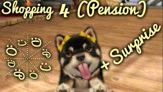 •NintendogsCats Shopping 4 PensionSurprise [upl. by Englebert56]