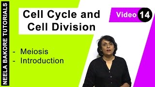 Cell Cycle amp Cell Division  NEET  Meiosis  Introduction  Neela Bakore Tutorials [upl. by Delbert]