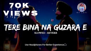 Tere Bina Na Guzara E Song  Slowed  Reverb song  Josh Brar  Nv Lofi [upl. by Llyrat699]