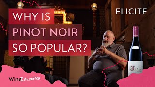 Why Is Pinot Noir So Popular [upl. by Llenaej]