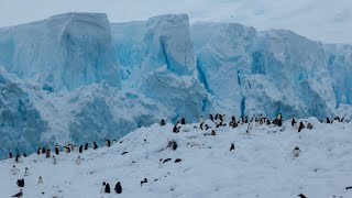 2024 Antarctica Marathon® Voyage 1 [upl. by Scheld493]