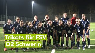 Sparkasse MecklenburgSchwerin unterstützt Frauenmannschaft [upl. by Gwenn456]