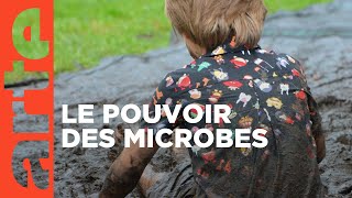 Vive les microbes   ARTE [upl. by Nylirehs]