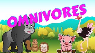 Omnivores  Types of Animal  Science for Kids [upl. by Iey299]