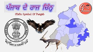 ਪੰਜਾਬ ਦੇ ਰਾਜ ਚਿੰਨ੍ਹ State Symbols of Punjab [upl. by Gaylor]