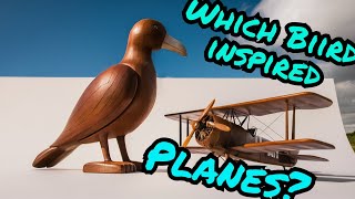 This Bird Inspired the First Airplane 🐦✈️ quiz facts animals [upl. by Eniamerej]