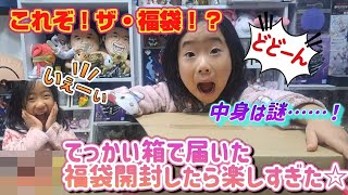 【福袋】何が入ってるかわからない福袋女の子向け開封したら楽しすぎた！福袋happy新年 [upl. by Aehsel]