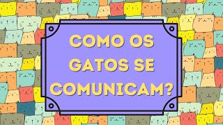 Como os gatos se comunicam [upl. by Genesia731]