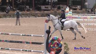 025S Lauren Billys Shady on Clearsky CCI2 Long Show Jumping Galway Downs Nov 2024 [upl. by Niven]