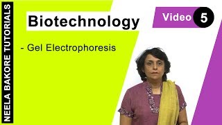 Biotechnology  NEET  Gel Electrophoresis  Neela Bakore Tutorials [upl. by Htebi]