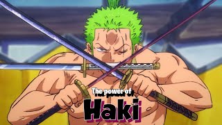 The Haki is enough  One Piece [upl. by Hock]