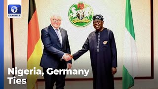 Tinubu Steinmeier Meet In The Statre House [upl. by Constantino]