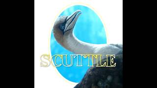 The Little Mermaid  Scuttle [upl. by Gunilla827]