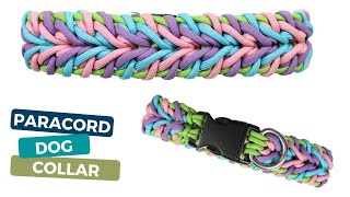 HOW TO MAKE A PARACORD DOG COLLAR TUTORIAL  Beginner Paracord [upl. by Toogood]