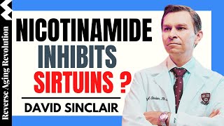 DAVID SINCLAIR “Nicotinamide Inhibit Sirtuins”  Dr David Sinclair Interview Clips [upl. by Nwahsel]