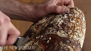 Baking bread at Tartine Bakery  Annals of Gastronomy  The New Yorker [upl. by Yelnats]