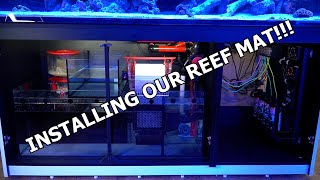 Redsea Reefer 750XXL G2 Display Aquarium ReefMat 1200 and ReefDose 4 Installation [upl. by Teik]