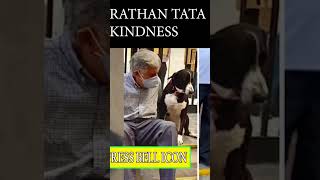 shorts dog RATHAN TATAS PET DOG GOA by kastajeevi vlogs 666 [upl. by Eelrac92]