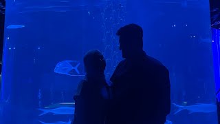 Aquarium date at Jakarta Aquarium Safari  Neo Soho [upl. by Aicnom]