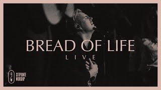 Bread of Life Live  Citipointe Worship [upl. by Royce145]