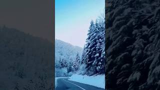 Winter ride gasolina supercars carspotting [upl. by Khano588]