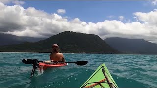 Kayaking 600km in CROCODILE Country Australia  Townsville to Cooktown [upl. by Ellemrac]