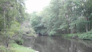 Ogeechee River  Rare Find [upl. by Perlman511]