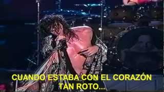 Aerosmith Crying Subtitulada Español HD Live Woodstock 1994 [upl. by Nigle893]