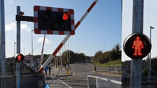 New Pedestrian Lights at Newhaven Town Level Crossing East Sussex [upl. by Tarrel]