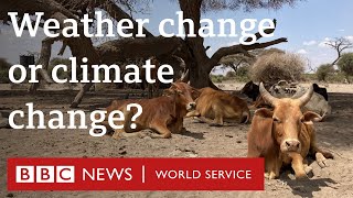 When does weather change become climate change  BBC World Service [upl. by Truc]