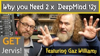 Why You Need 2 Behringer Deepmind 12s The Ultimate Deepmind 24 [upl. by Aiuqram281]