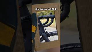 Rim brakes in 2024 cycling funny roadbike cyclistlife [upl. by Einnej187]